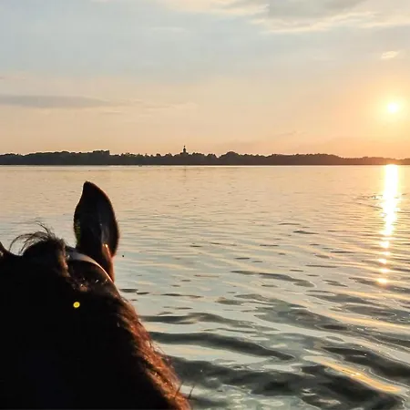 Prázdninový dům Pet Friendly In Witnica Chojenska Witnica (Gryfino)