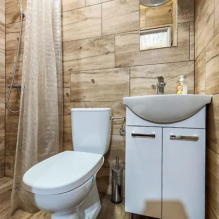 Ferienhaus Pet Friendly In Witnica Chojenska