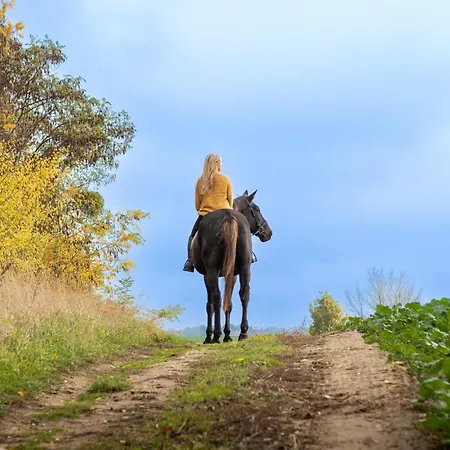 Pet Friendly In Witnica Chojenska Witnica (Gryfino)