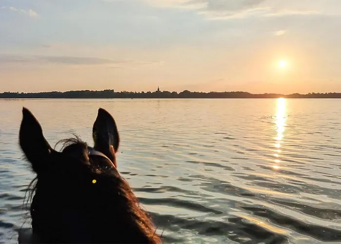 Prázdninový dům Pet Friendly In Witnica Chojenska Witnica (Gryfino)