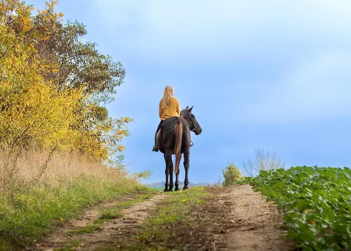 Pet Friendly In Witnica Chojenska Witnica (Gryfino)