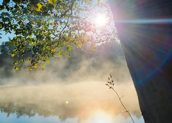 Pet Friendly In Witnica Chojenska Prázdninový dům Witnica (Gryfino)